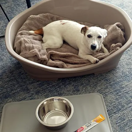 The Originals Boutique, Admiral's,