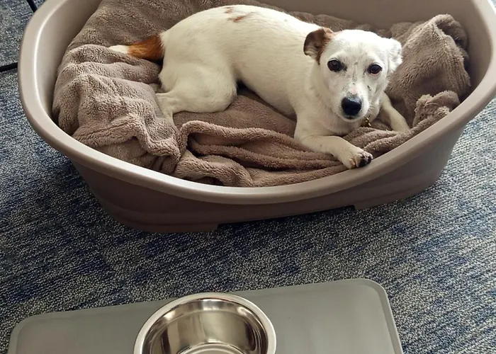 The Originals Boutique, Admiral's,